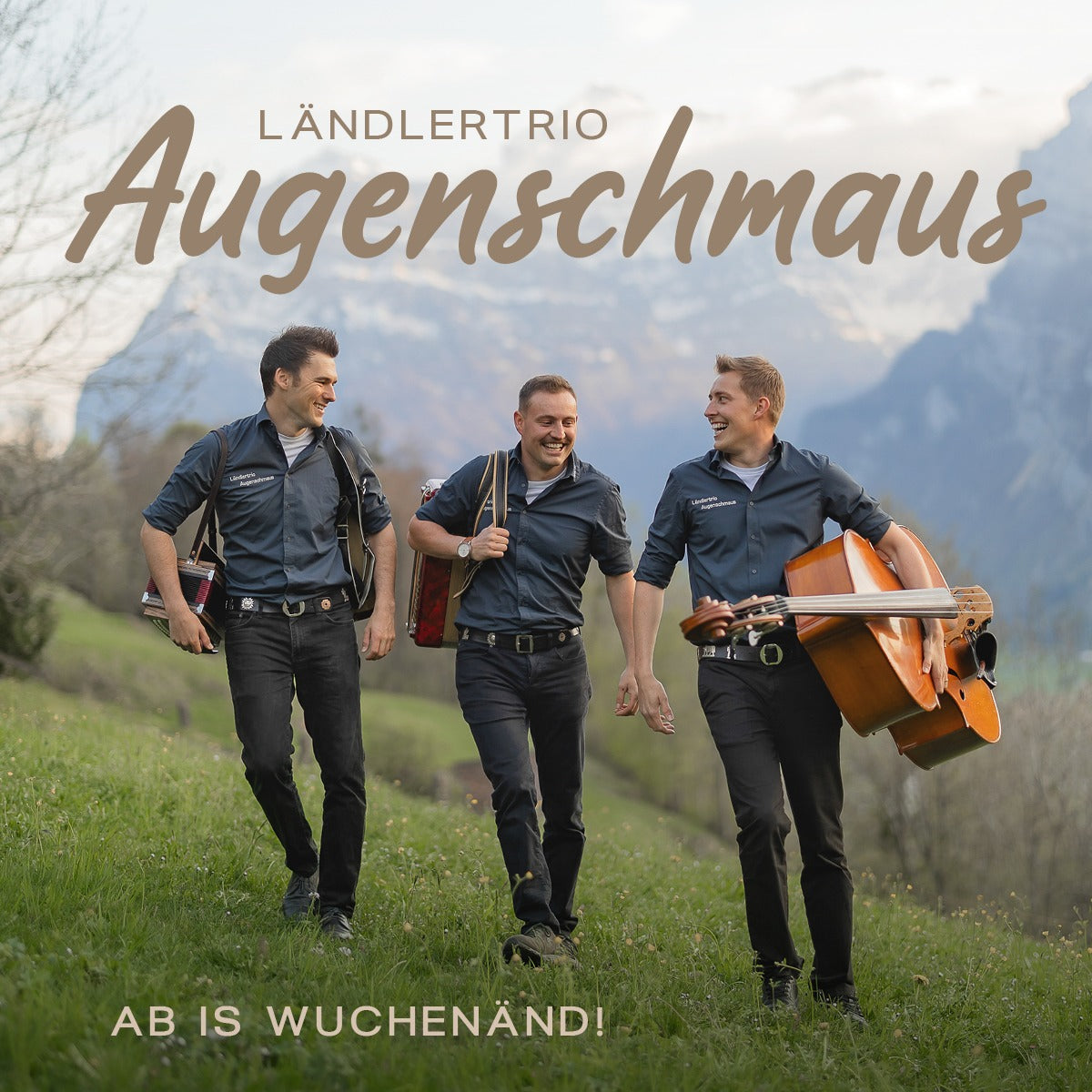 CD «Ab is Wuchenänd!»